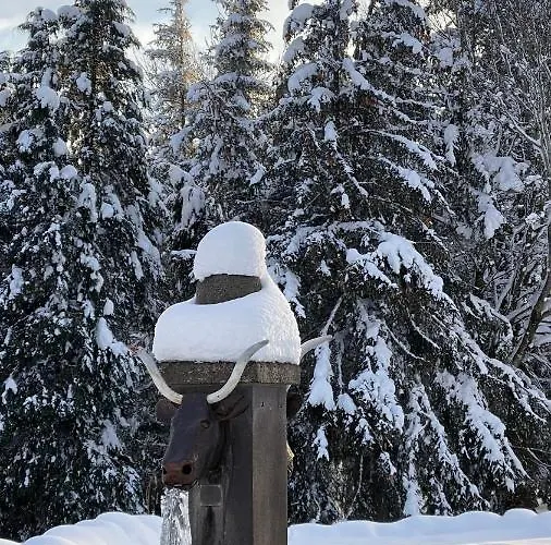 Du Cezallier Hotel 3*